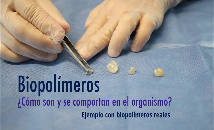 biopolimeros