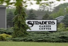 strader's garden center