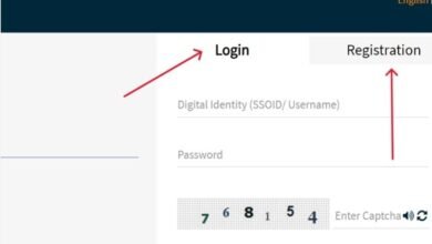 sso login id