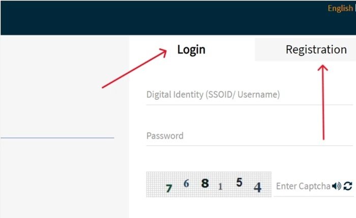 sso login id